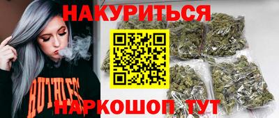 сатива Краснознаменск