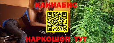сатива Краснознаменск