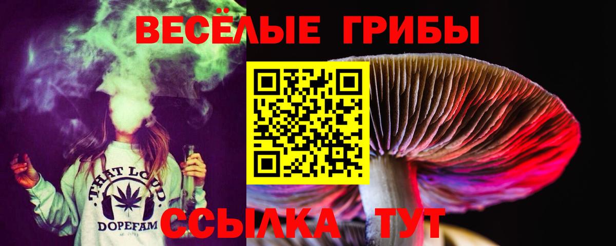 Псилоцибиновые грибы Magic Shrooms Калининград